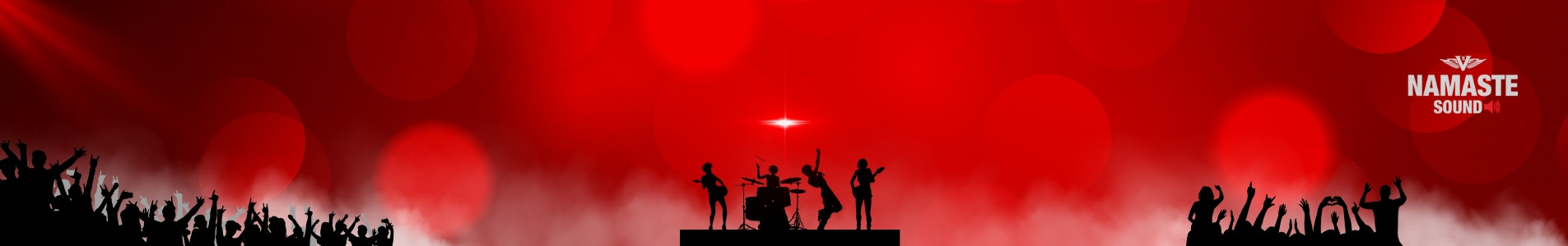 Concerts/ Music Fest